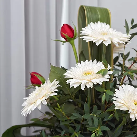 Bestvillas Ancora Gaivotas Apartament *