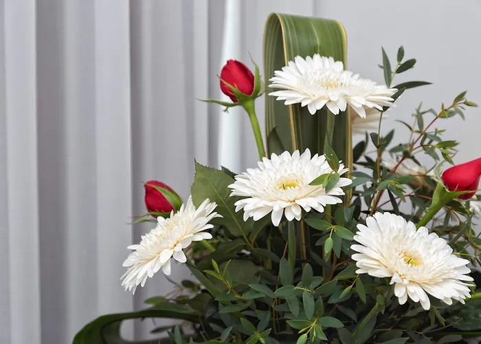 Bestvillas Ancora Gaivotas 아파트 *